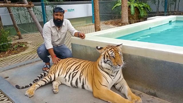 Bangkok Lo Tiger Park | Pareshan Boys | Pareshan family смотреть онлайн