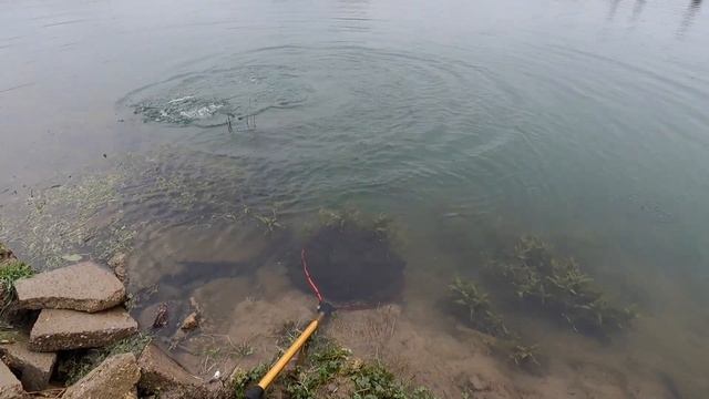 Forellenangeln in Harkenbleck | Ein Tag mit Freunden am Wasser смотреть онлайн