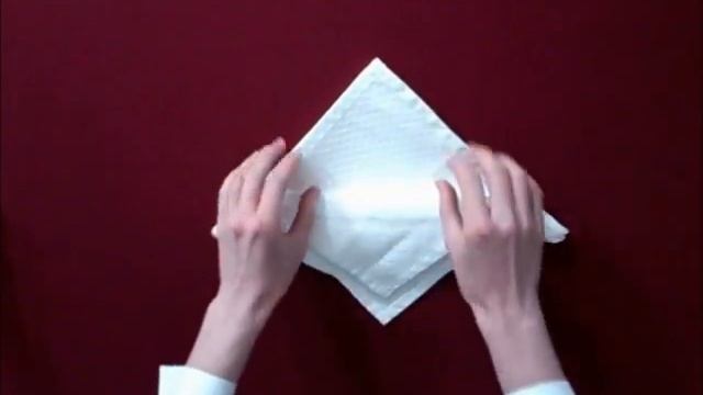 Napkin folding - Sydney смотреть онлайн