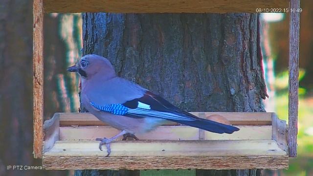 BEST OF ALL\ЛУЧШЕ ВСЕХ