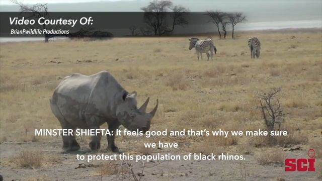 Safari Club Interview With Namibia Minister of Environment and Tourism, Hon Pohamba Shifeta смотреть онлайн