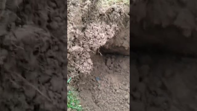 4th hammered coin minelab safari metal detecting смотреть онлайн