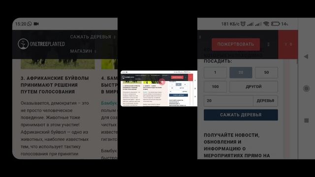 Интернеттен кантип туура сүрөттөрдү көчүрүп алууга болот смотреть онлайн