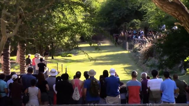 Safari Park San Diego Zoo Oct 2015 смотреть онлайн