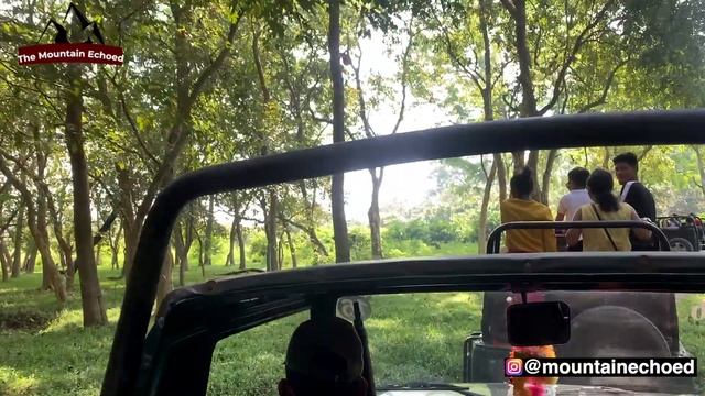 Pobitora Wildlife Sanctuary | Jungle Safari | Single Horn Rhino | Assam | Vlog | The Mountain Echoe смотреть онлайн