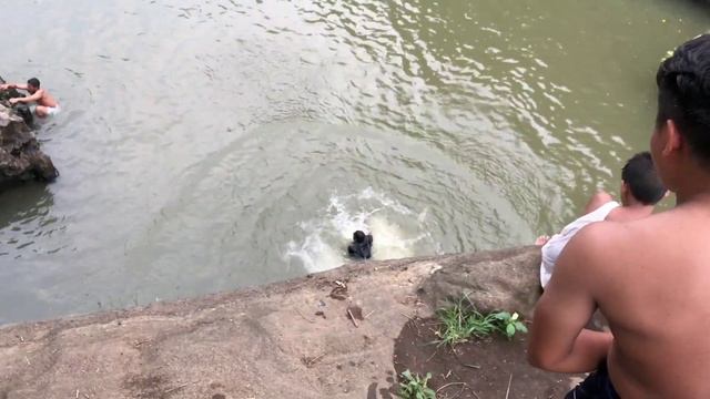 My 30 feet cliff jump at pantihan falls..🥴🥴 are you brave enough to do this..? 🤘🤘 смотреть онлайн