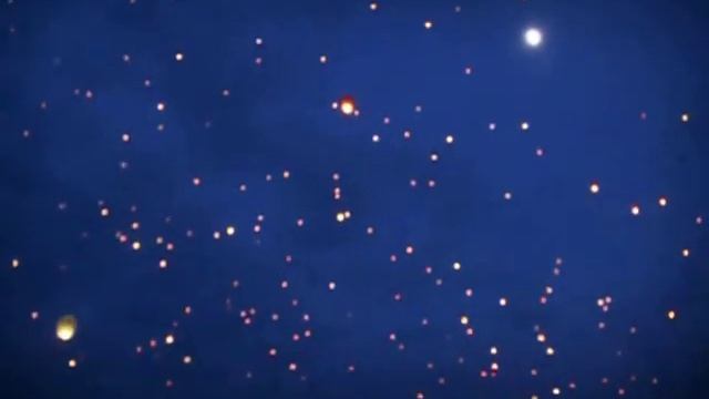 SDC11600.AVI смотреть онлайн