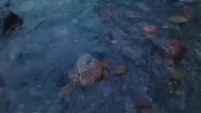 HE JUST LOOKED AND THEN GOT HIS HEART! Better Life | Motivation смотреть онлайн