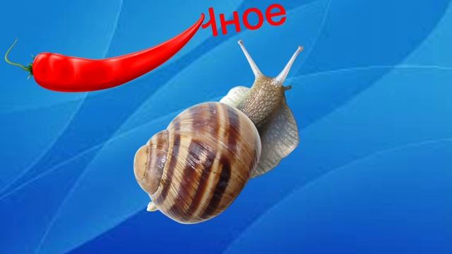 Чем нельзя кормить виноградную улитку