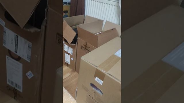 Video_2024-10-25_23-04-33