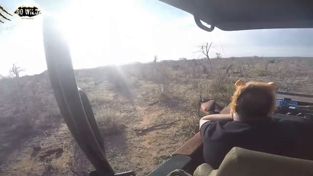 South Africa Safari - 2015 Sep-Octo смотреть онлайн