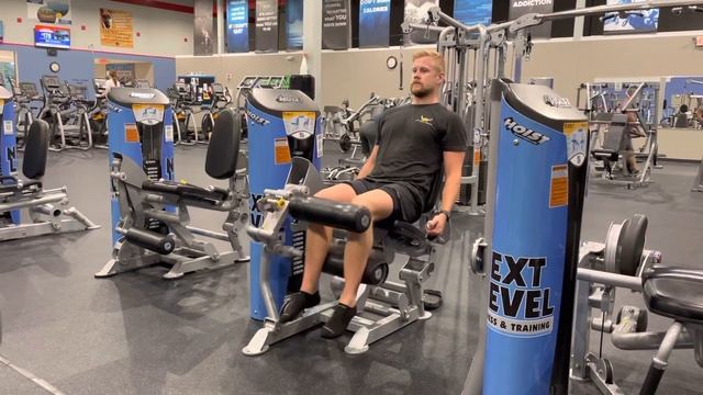Seated leg curl смотреть онлайн