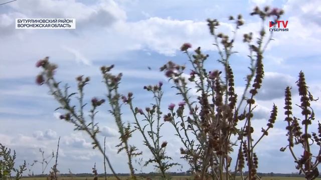 Окрестности. Бутурлиновский район. Троицкий смотреть онлайн
