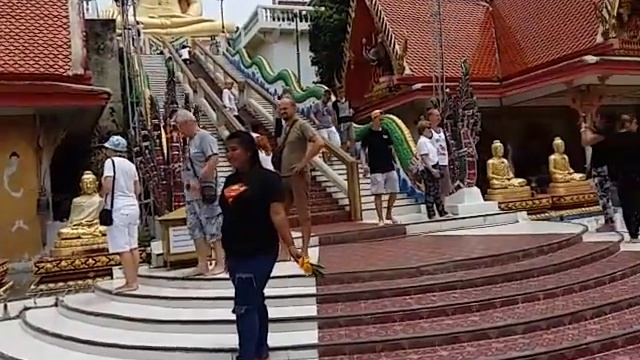 26.05.2015 BIG BUDDHA - JUNGLE SAFARI VISION GRAND TOUR смотреть онлайн