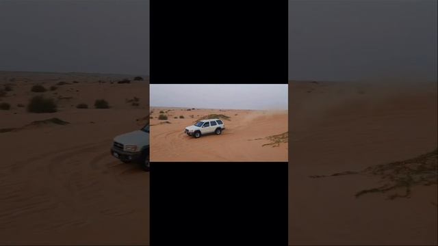 #dubai #desert #safari #dubai #sharjah #abudhabi #uae #viral #vlog #forupage смотреть онлайн