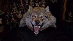 ПОКРОВ ОБОРОТНЯ… СИЛЬНЕЙШАЯ ЗАЩИТА…ДЛЯ ВСЕХ…