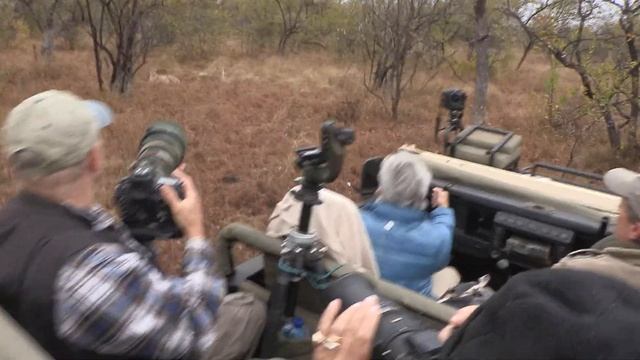 Claudia Schnell Africa - Safaris & Tours, South Africa Travel Channel 24 смотреть онлайн