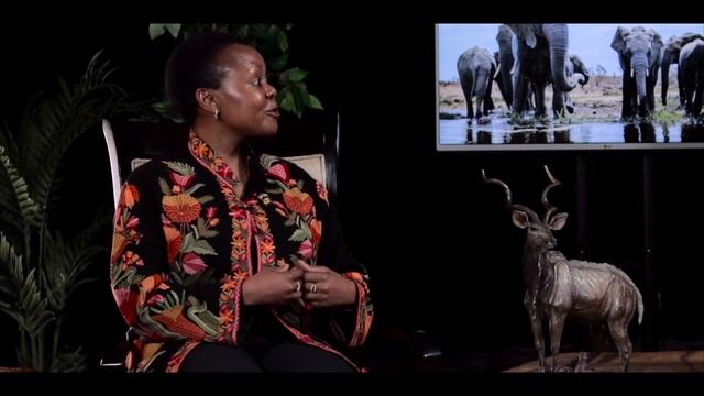 Conservation Perspective_Elsie Kanza _Ambassador of Tanzania for the US смотреть онлайн