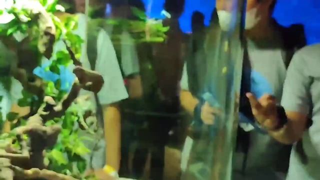 RESEARCH TRIP AL-WILDAN ISLAMIC SCHOOL 3 BSD CITY TO JAKARTA AQUARIUM SAFARI смотреть онлайн