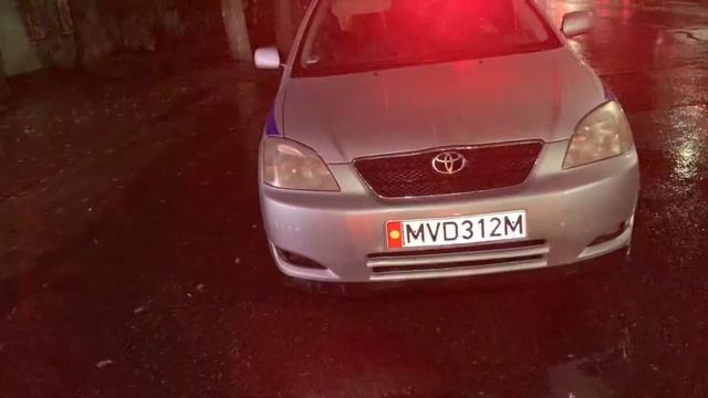 ПОБЕГ МИЛИЦИОНЕРОВ! ПОЗОР! SAFARI смотреть онлайн