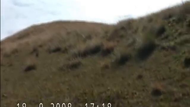Dagestan TUR hunt AZERBAIJAN OCTOBER смотреть онлайн