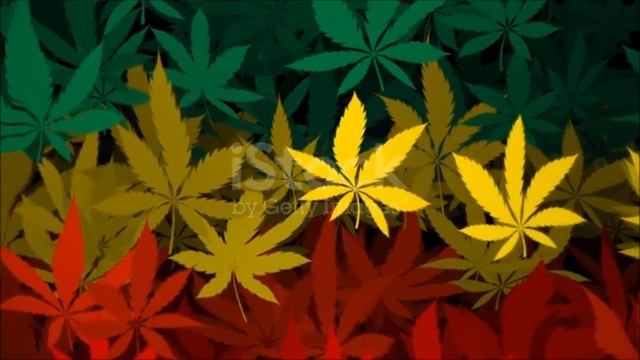 Reaggae Music    轻松的音乐   موسيقى هادئة