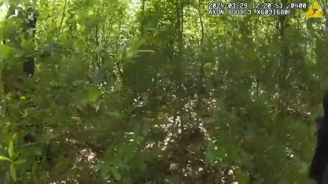 DeLand police K-9 finds missing 3-year-old boy смотреть онлайн