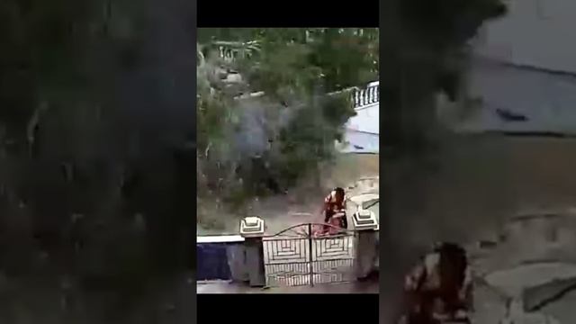 Brave Mother смотреть онлайн