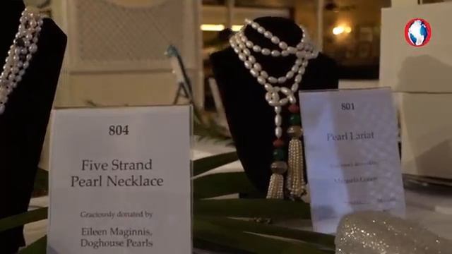 2023 Hanover Charities - Sugar Cane Ball смотреть онлайн