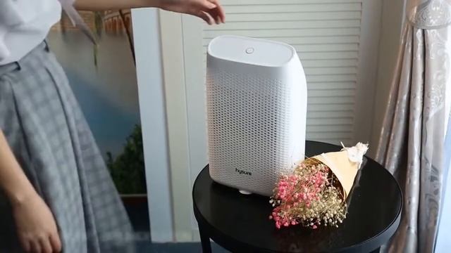 Осушитель воздуха T8, белый смотреть онлайн