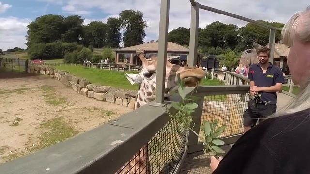 LONGLEAT Safari & Adventure Park 2014 смотреть онлайн