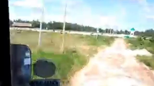Safari park смотреть онлайн