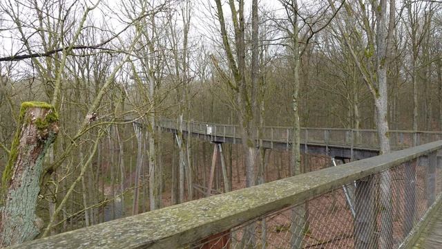 Ausflugsziel : Baumwipfelpfad Steigerwald - Wohnmobil-Trip in Oberfranken смотреть онлайн