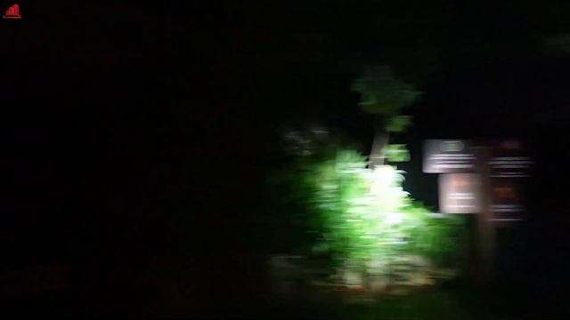 Khám phá Vườn thú đêm NIGHT SAFARI đầu tiên và duy nhất tại Việt Nam смотреть онлайн