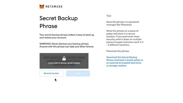 Metamask Wallet Walkthrough Tutorial with the 50mm Collective смотреть онлайн