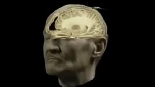 Brave New World: Transhuman Part 4 смотреть онлайн
