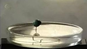 Физика. Изменение поверхностного натяжения