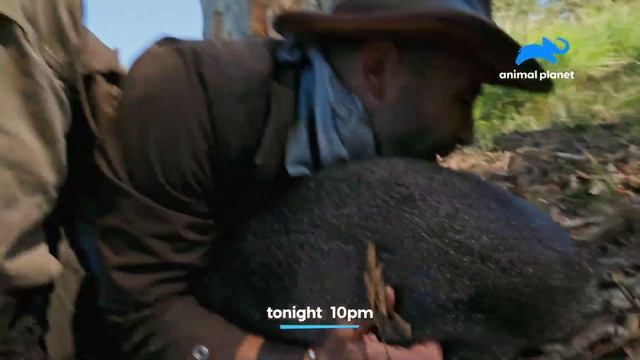 Coyote Peterson: Brave The Wild | Promo | Tonight 10 PM смотреть онлайн