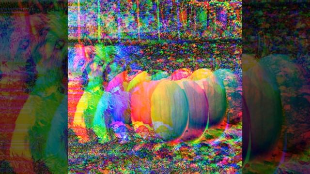Cultured Music for Brave Doggy смотреть онлайн