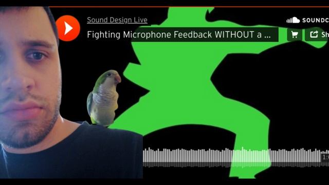 Fighting Microphone Feedback WITHOUT a Graphic EQ While Mixing Monitors from FOH смотреть онлайн