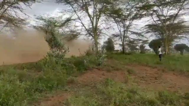 TOYOTA KALLE ROVANPERA IS THE WINNER OF WRC 2024 SAFARI RALLY.#wrc2024 #kenya #wrcrally #naivasha смотреть онлайн
