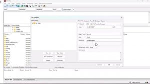 Connecting to an SFTP server using FileZilla