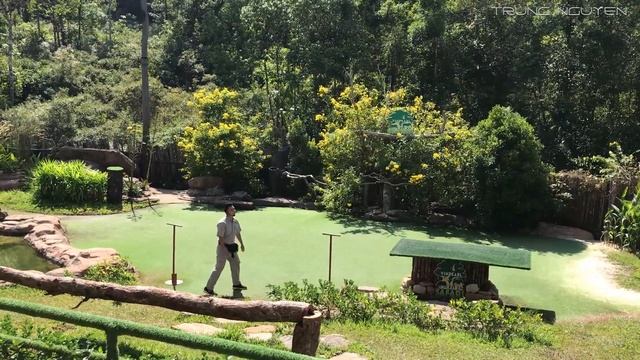 Vinpearl - SAFARI bird show - 2019 Dec смотреть онлайн