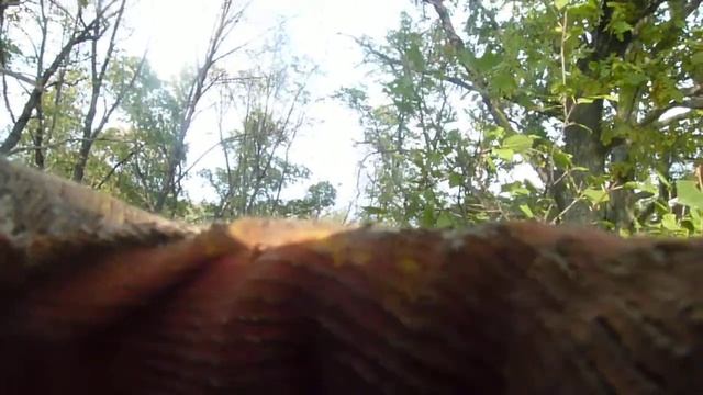 Неизвестная полевая кухня с переходных позиций.