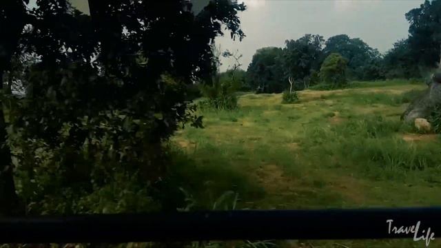 Ridiyagama Safari Park l Sri Lanka смотреть онлайн