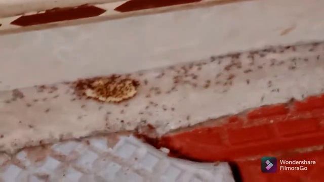 urumbu onam смотреть онлайн