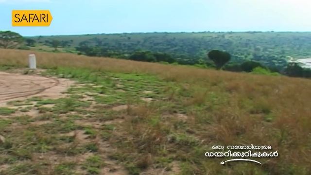 Oru Sanchariyude Diary Kurippukal | EPI 431 | BY SANTHOSH GEORGE KULANGARA | SAFARI TV смотреть онлайн