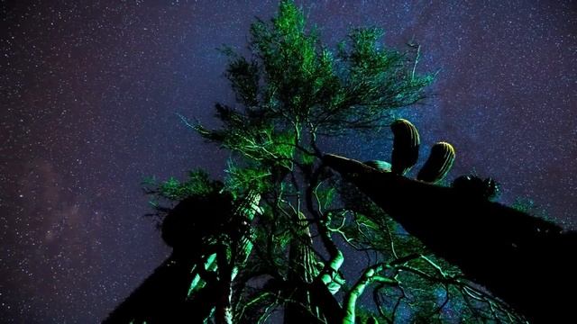 "Делай, не напрягаясь". 30 октября. Сегодня - лучший путь. Ежедневник для созависимых. смотреть онлайн