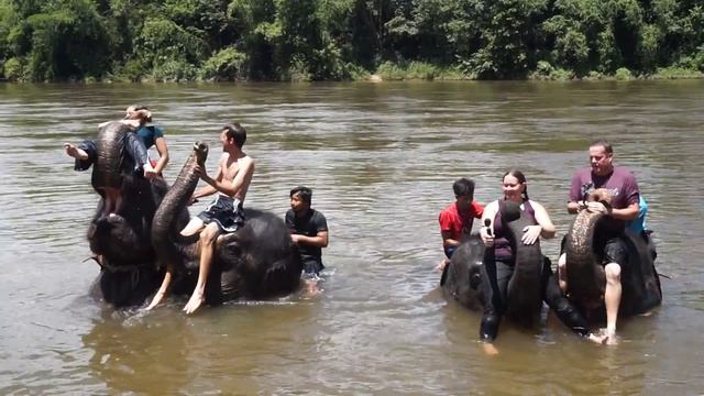 about to enjoy a fun and refreshing bath with the elephants in Thailand (September 9th, 2017) смотреть онлайн