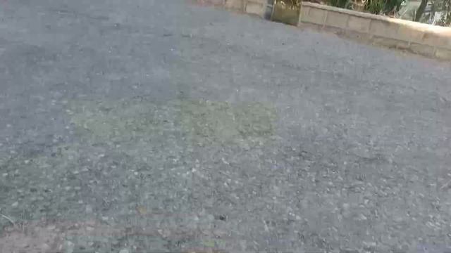 At Safari Park, Karachi